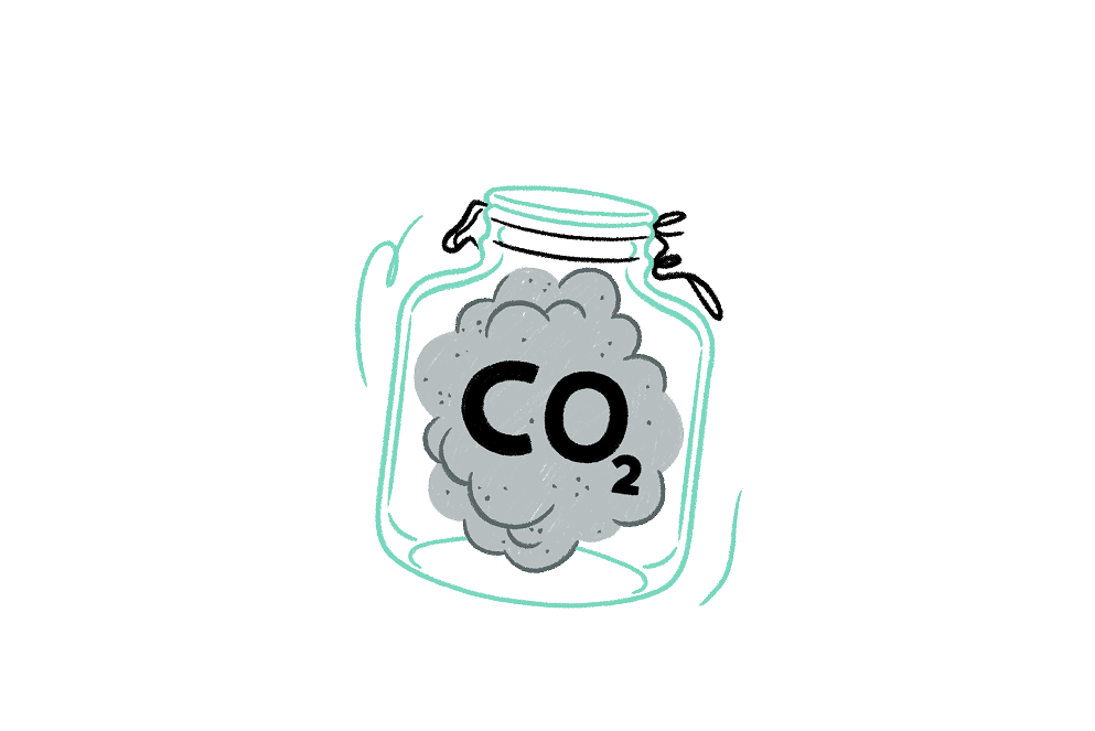 sustainability2024-illustration-small-7@3x.png